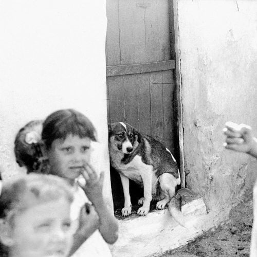 Dog and children in El Somorrostro