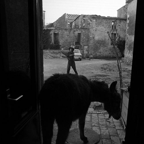 Elsa Peretti and donkey at the door of her house